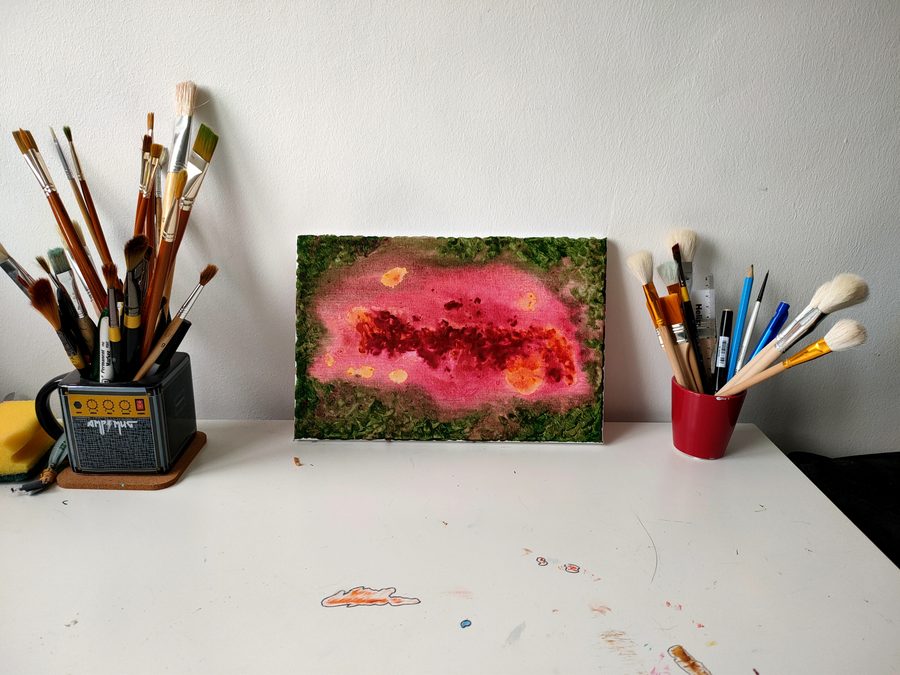 A bloom of magenta and pink opening across a dark mossy green ground.